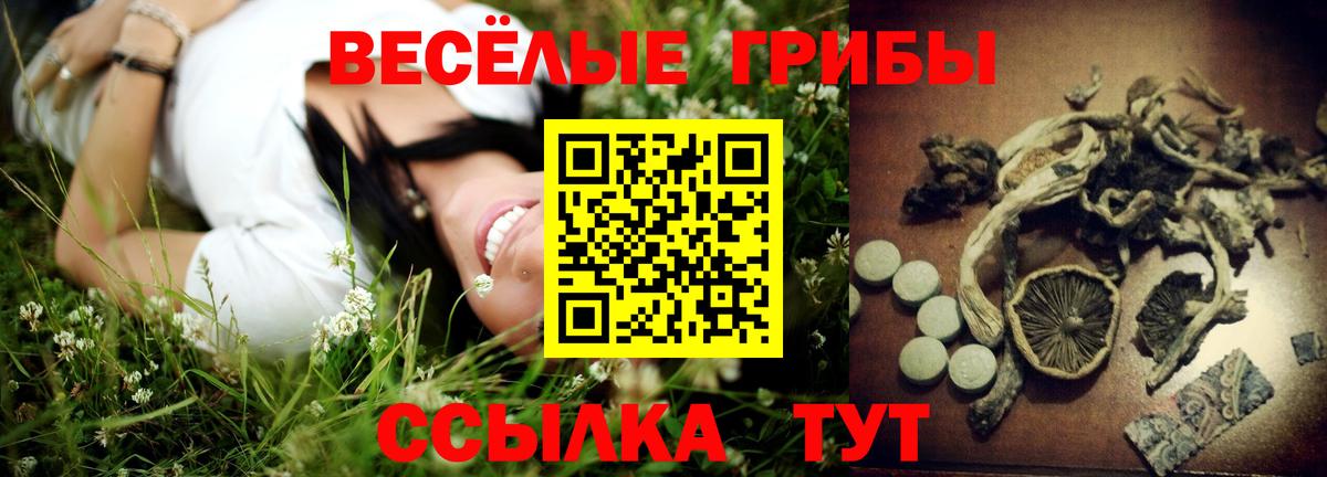 Псилоцибиновые грибы мицелий  Галлюциногенные грибы мухоморы  Мурманск  Вход с VPN 